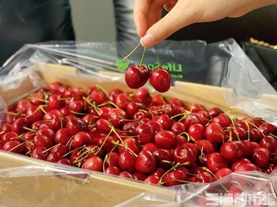 車厘子價格跳水，湖南水果零售均價應聲回落