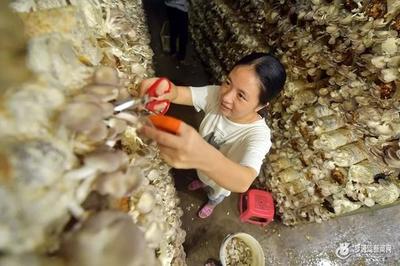 福州區縣經濟實力新格局 黑馬崛起，食用農產品零售成關鍵增長極