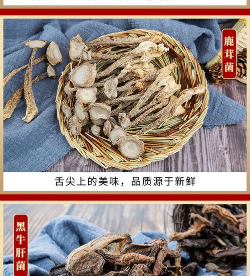 鮮山叔·臻選菌菇禮盒 品味山珍，禮贈健康，開啟現代廚房新“食”尚